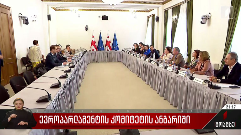 ევროპარლამენტის კომიტეტის ანგარიში