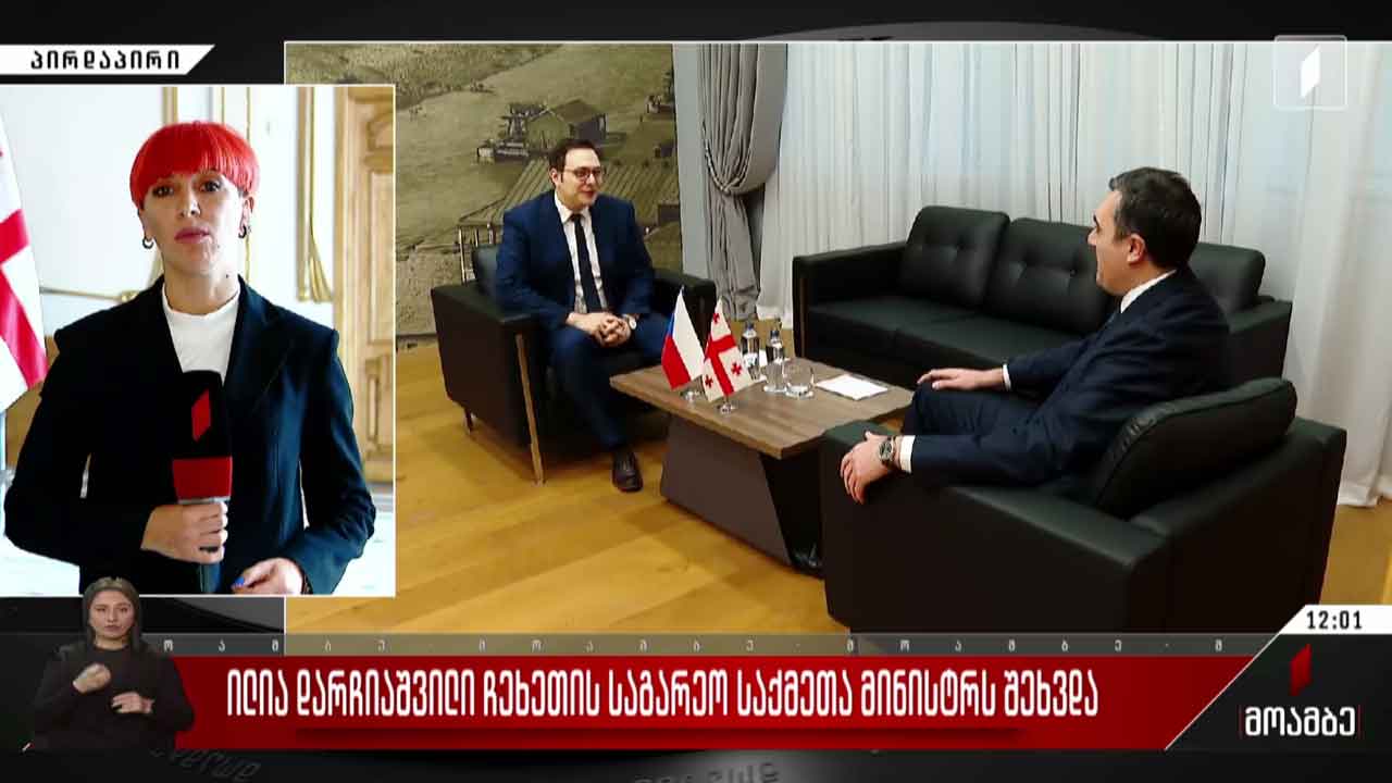 ილია დარჩიაშვილი ჩეხეთის საგარეო საქმეთა მინისტრს შეხვდა