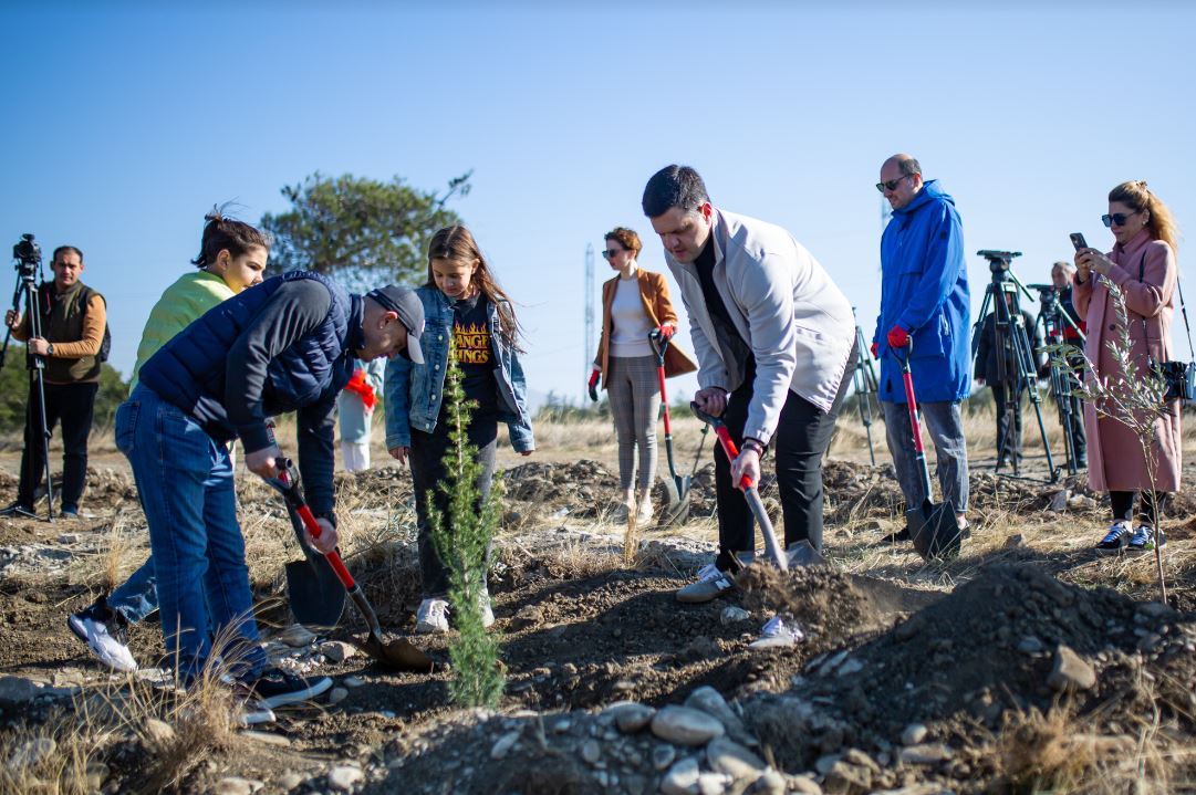 თბილისის ზღვის მიმდებარედ, ფერდზე გამწვანების აქცია გაიმართა