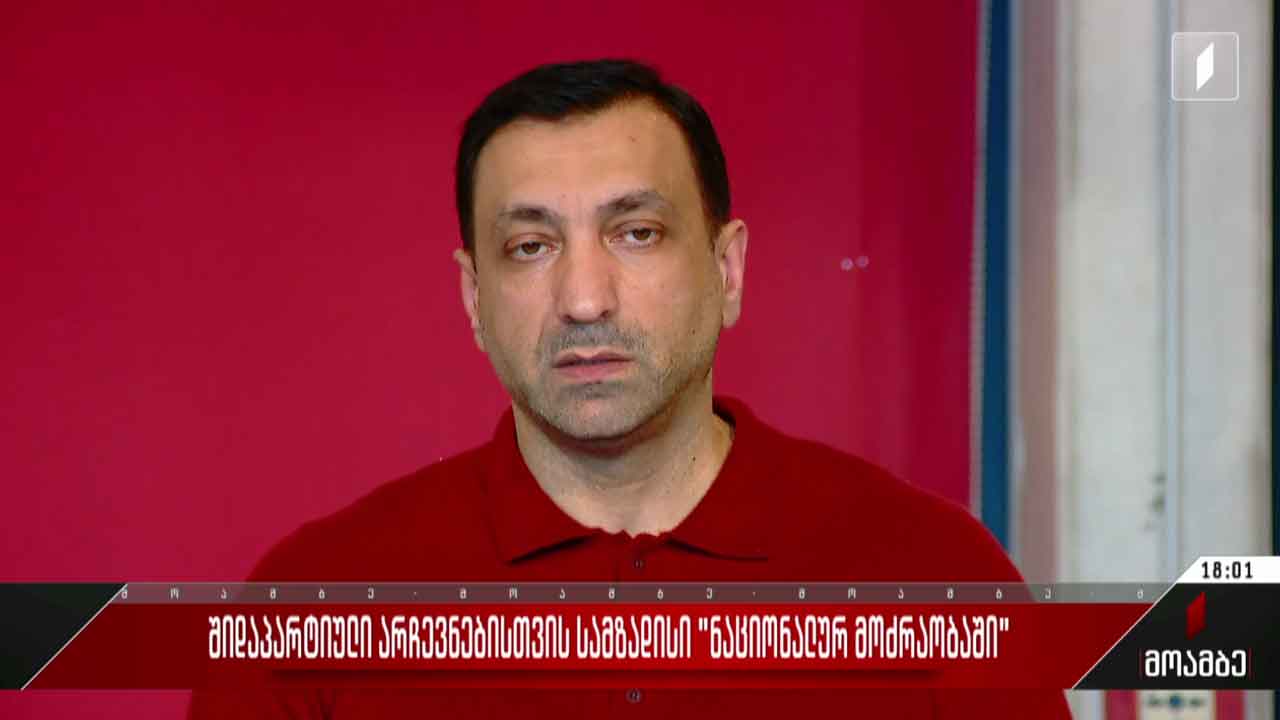 შიდაპარტიული არჩევნებისთვის სამზადისი „ნაციონალურ მოძრაობაში“