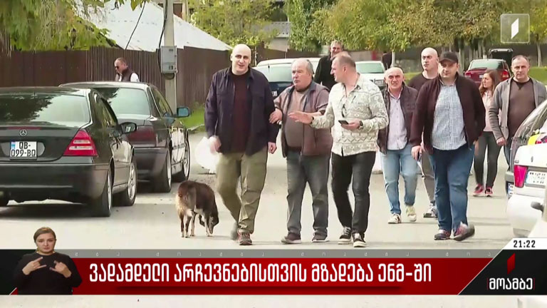 ვადამდელი არჩევნებისთვის მზადება ენმ-ში