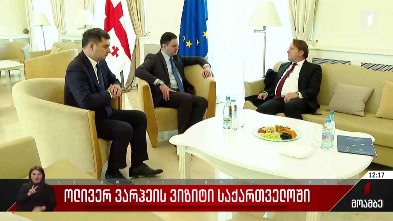 ოლივერ ვარჰეის ვიზიტი საქართველოში