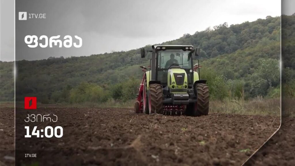 „ფერმა“ – 20 ნოემბერს, 14:00