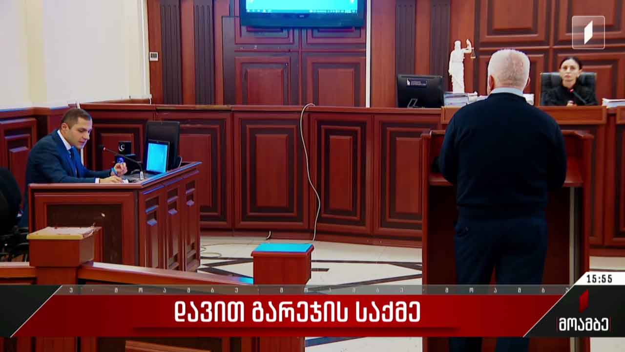 დავით გარეჯის საქმე - სასამართლო პროცესი