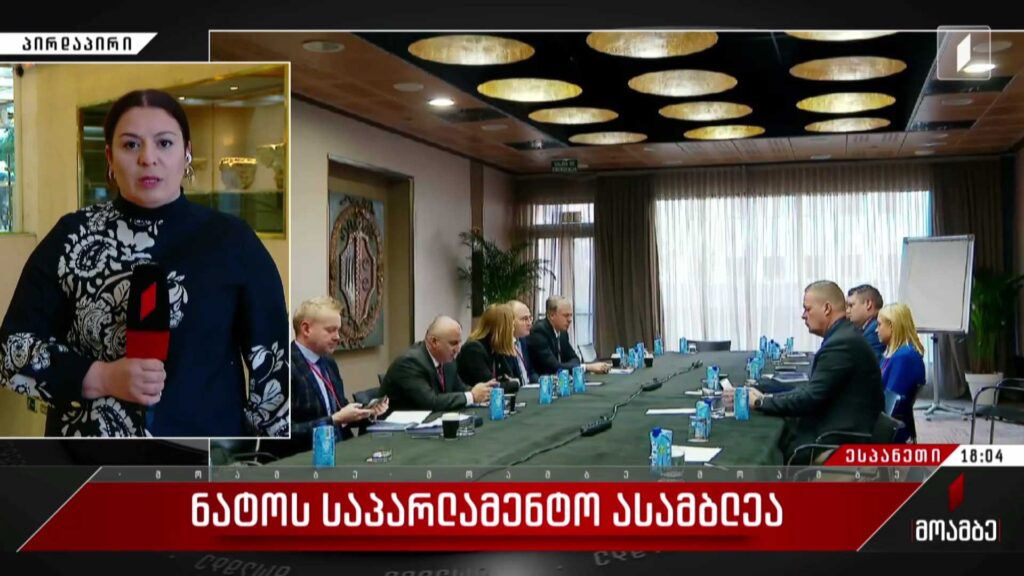 ნატო-ს საპარლამენტო ასამბლეა