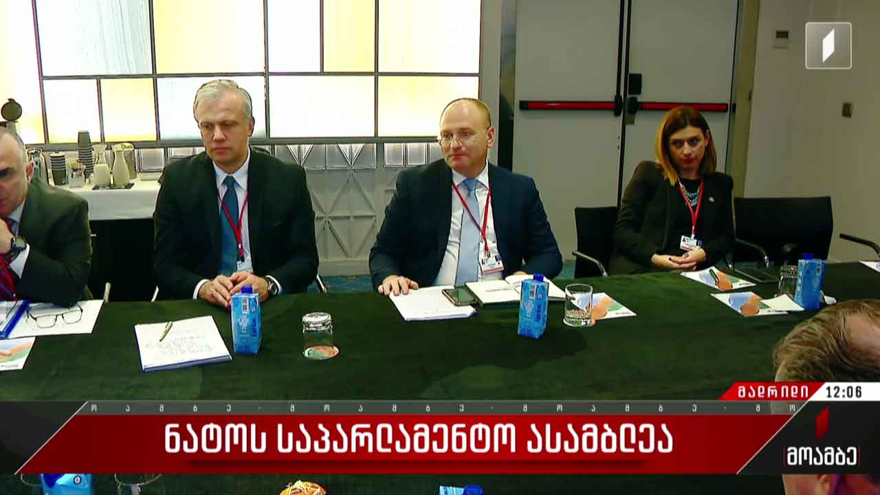 ნატო-ს საპარლამენტო ასამბლეა