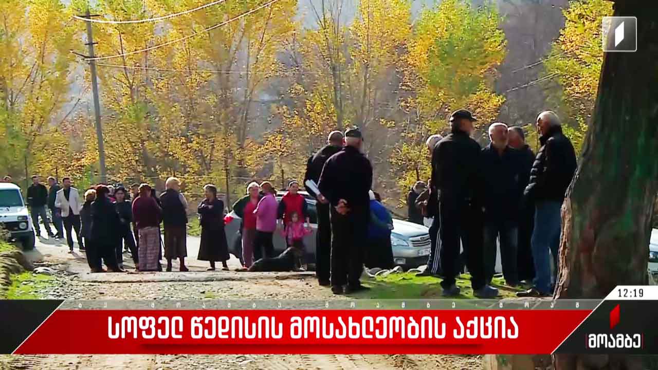 აქცია სოფელ წედისში