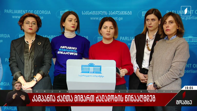 კამპანია ქალთა მიმართ ძალადობის წინააღმდეგ - განცხადება პარლამენტში