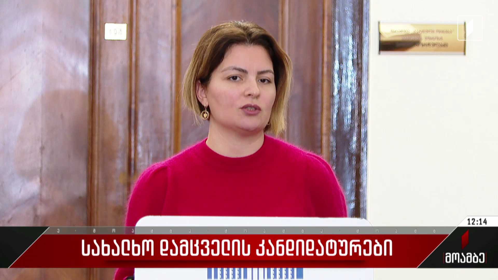 სახალხო დამცველის კანდიდატურები