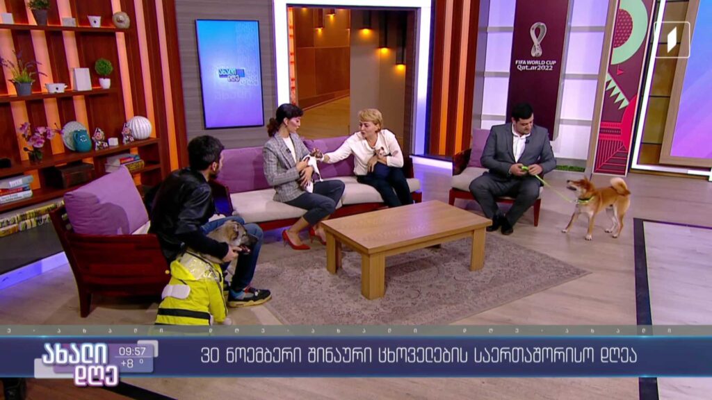 30 ნოემბერი შინაური ცხოველების საერთაშორისო დღეა