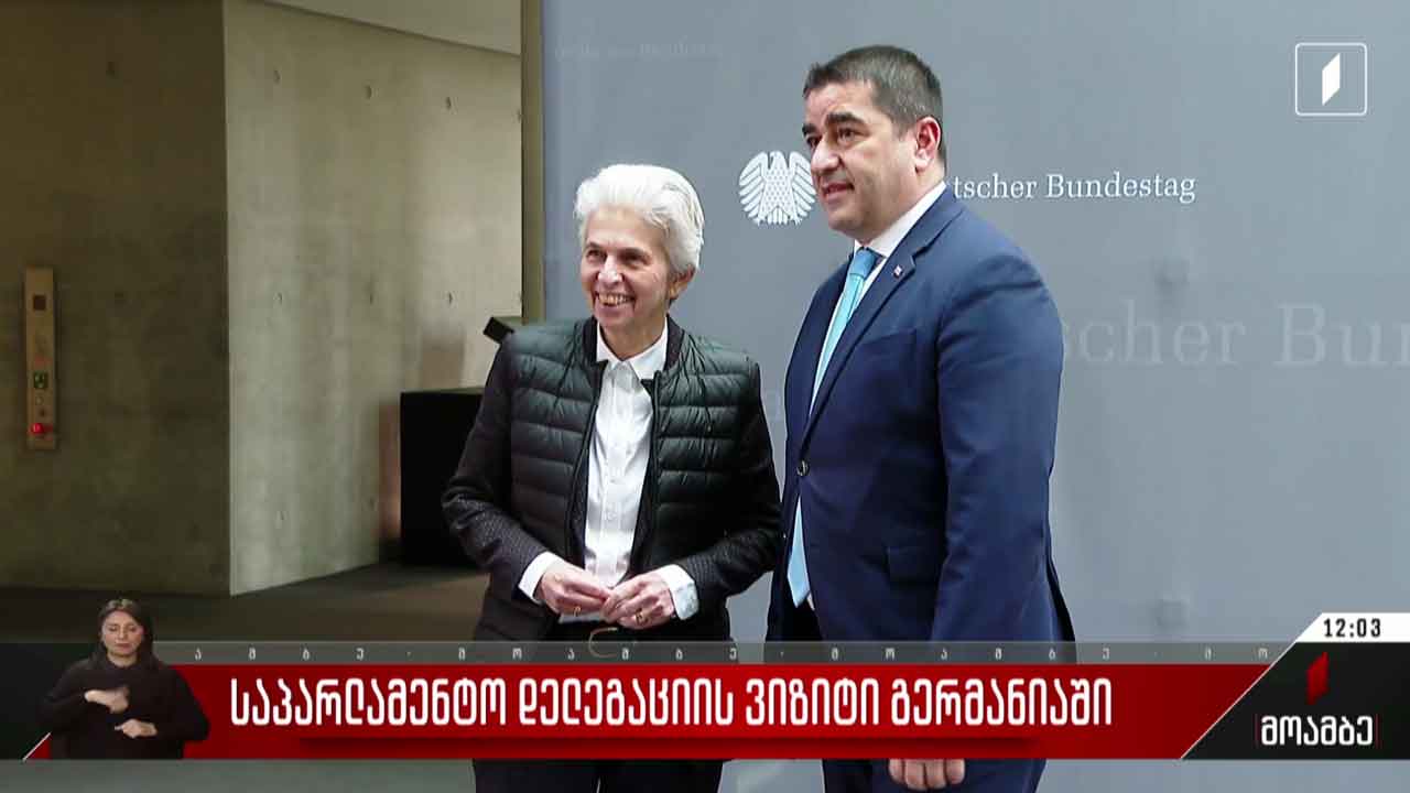 საპარლამენტო დელეგაციის ვიზიტი გერმანიაში