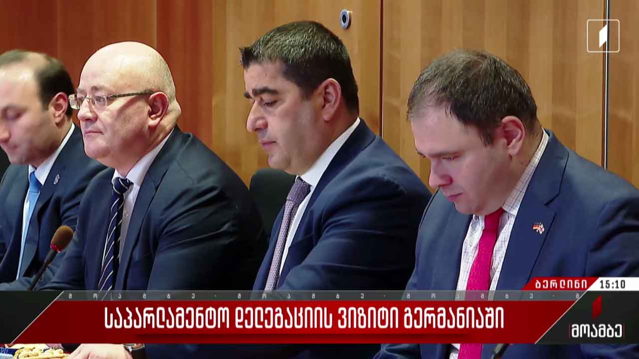 საპარლამენტო დელეგაციის ვიზიტი გერმანიაში