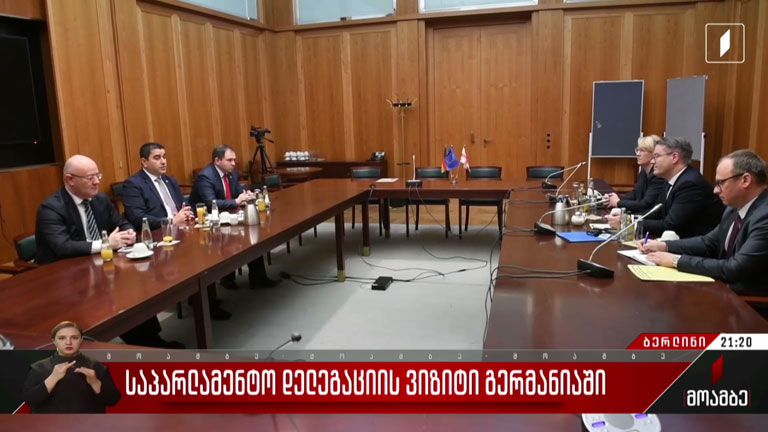 საპარლამენტო დელეგაციის ვიზიტი გერმანიაში