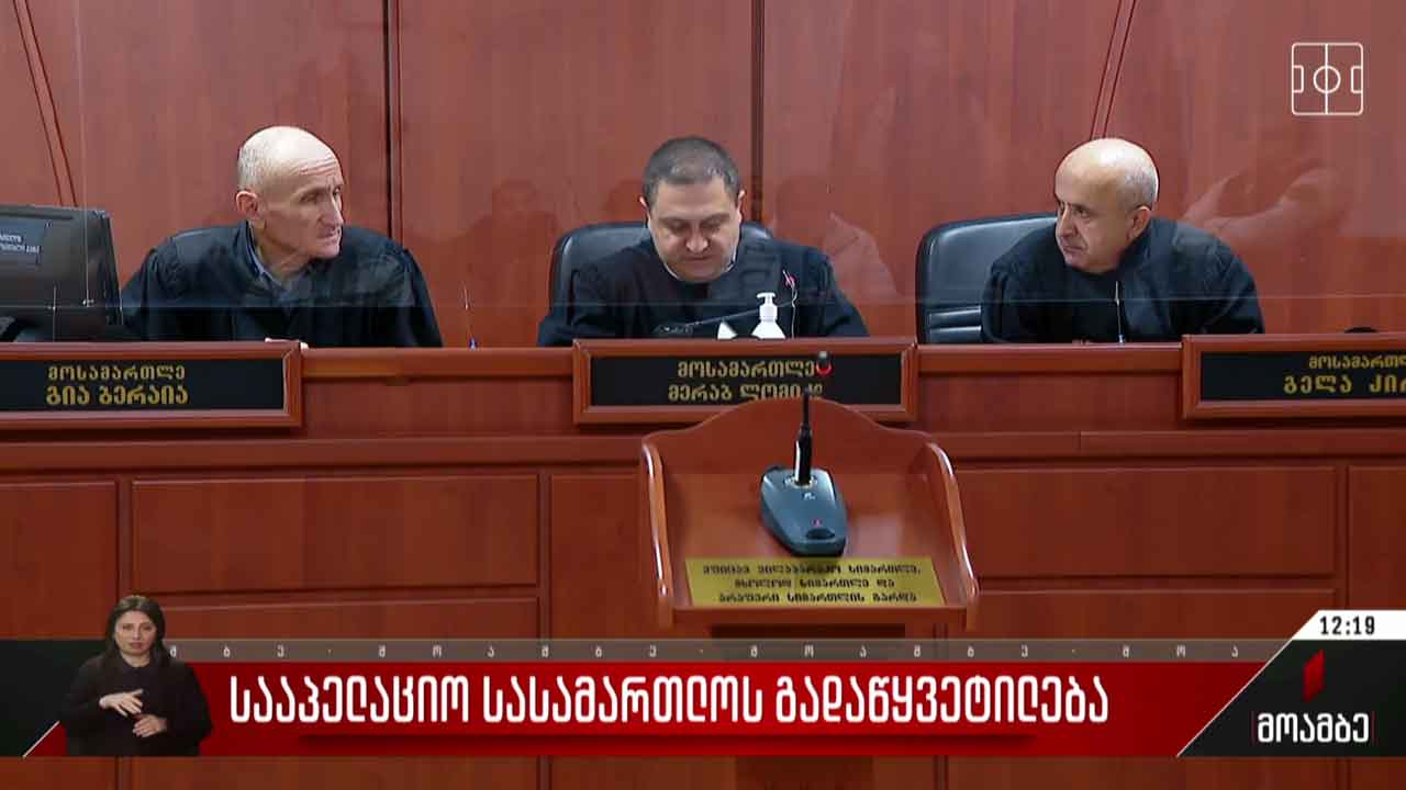 სააპელაციო სასამართლოს გადაწყვეტილება
