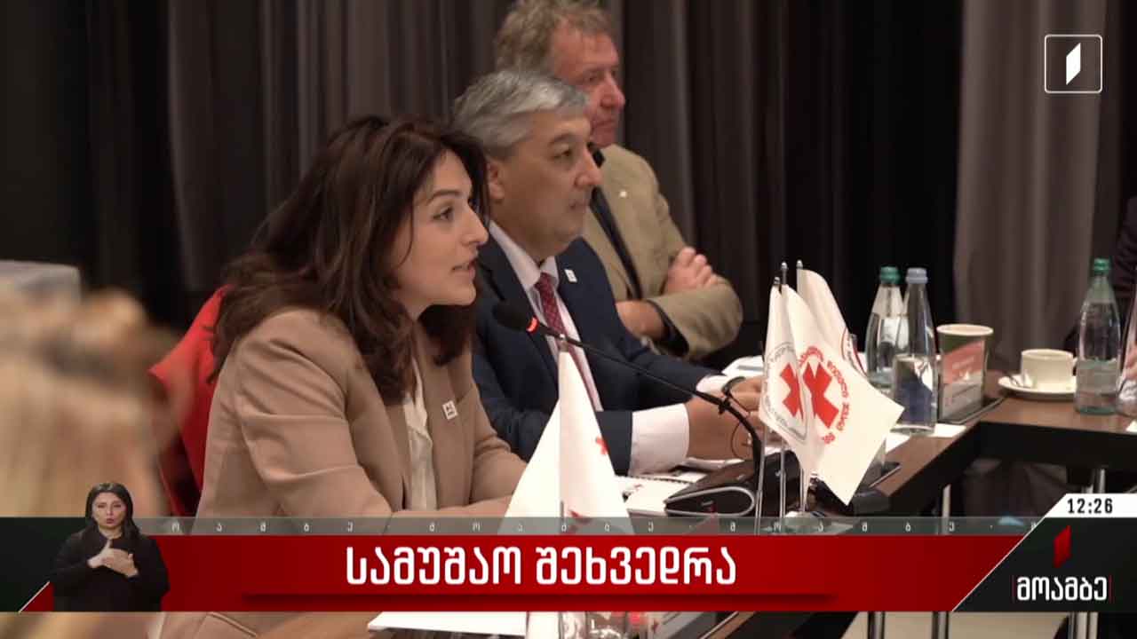 სამუშაო შეხვედრა
