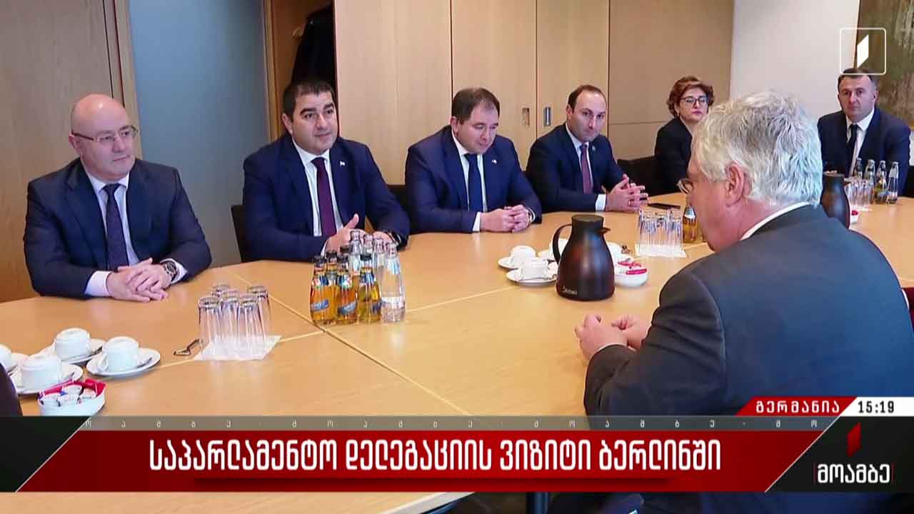 საპარლამენტო დელეგაციის ვიზიტი ბერლინში