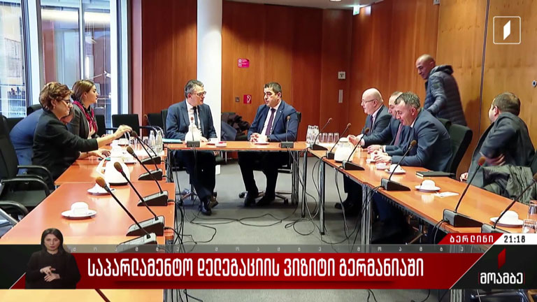საპარლამენტო დელეგაციის ვიზიტი გერმანიაში
