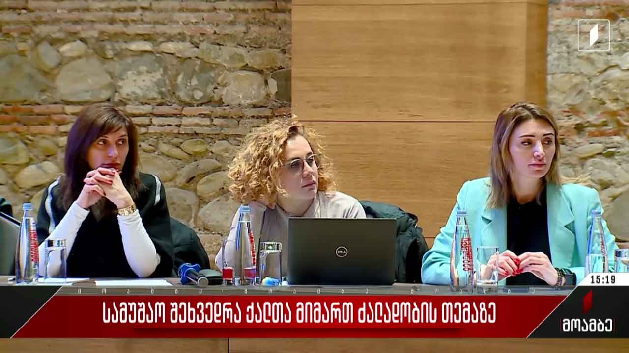 სამუშაო შეხვედრა ქალთა მიმართ ძალადობის თემაზე