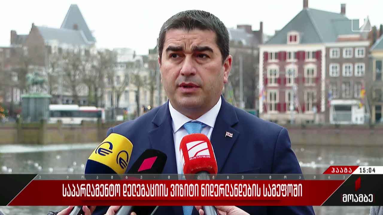 საქართველოს საპარლამენტო დელეგაცია ნიდერლანდების სამეფოში