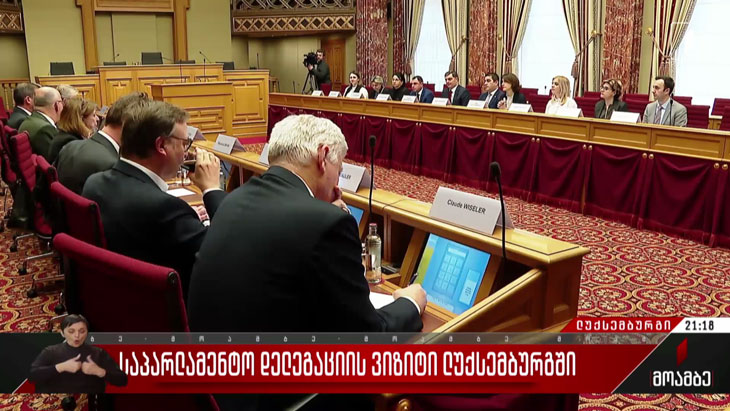 საპარლამენტო დელეგაციის ვიზიტი ლუქსემბურგში