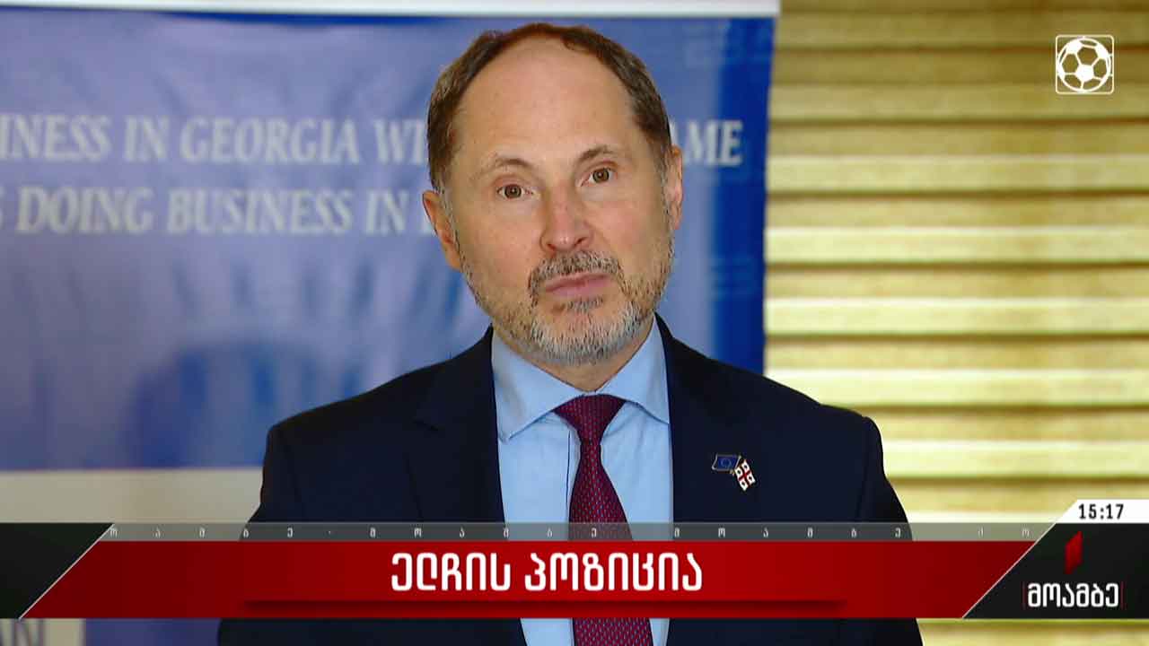 ევროკავშირის ელჩის პოზიცია