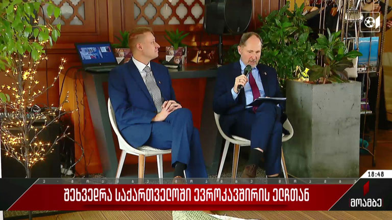 შეხვედრა საქართველოში ევროკავშირის ელჩთან