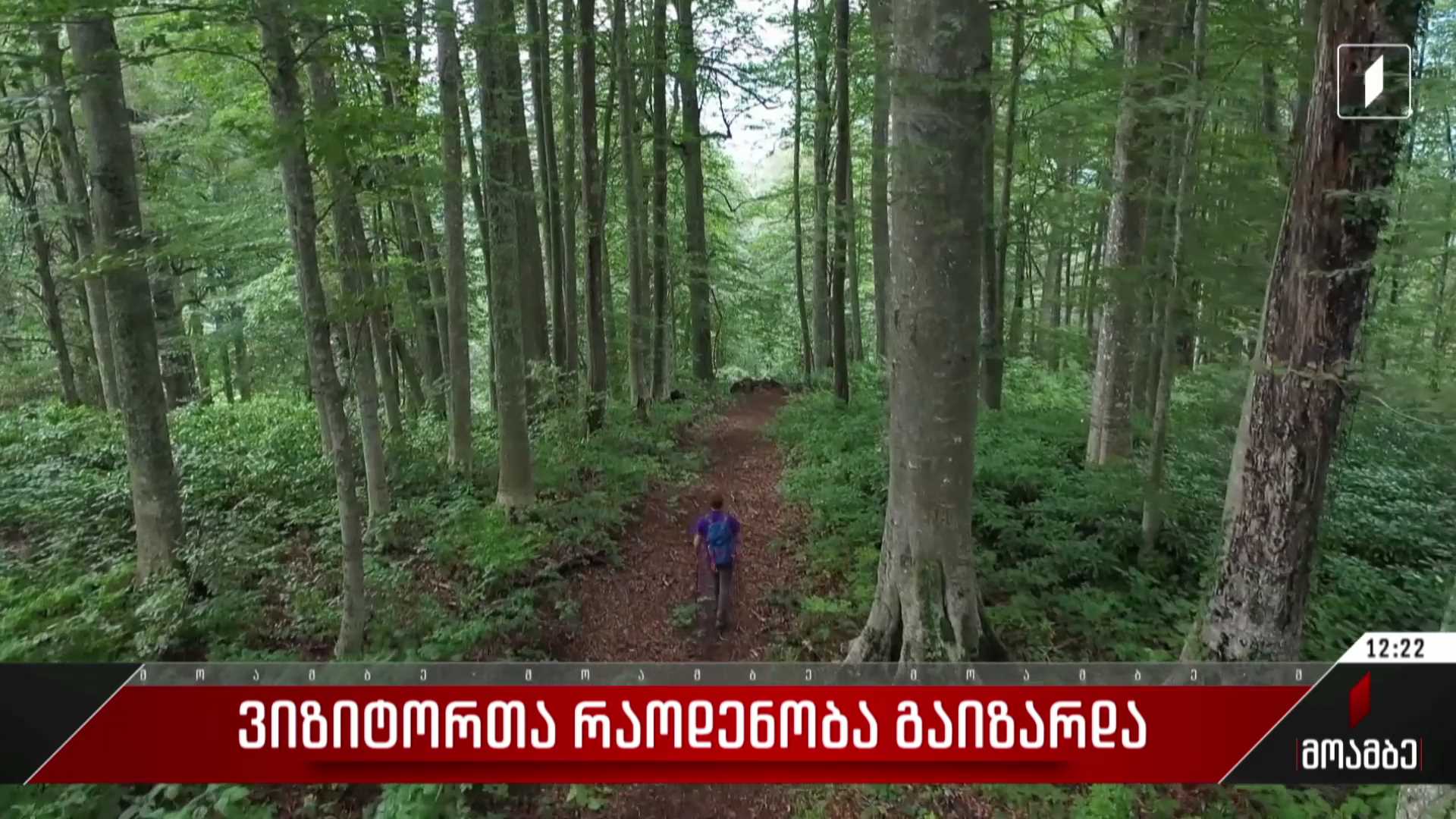 ვიზიტორთა რაოდენობა გაიზარდა