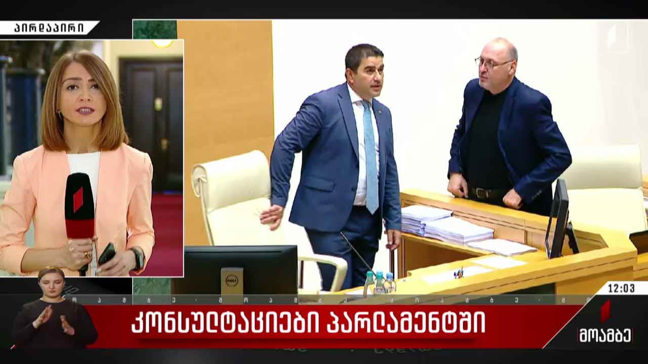 კონსულტაციები პარლამენტში