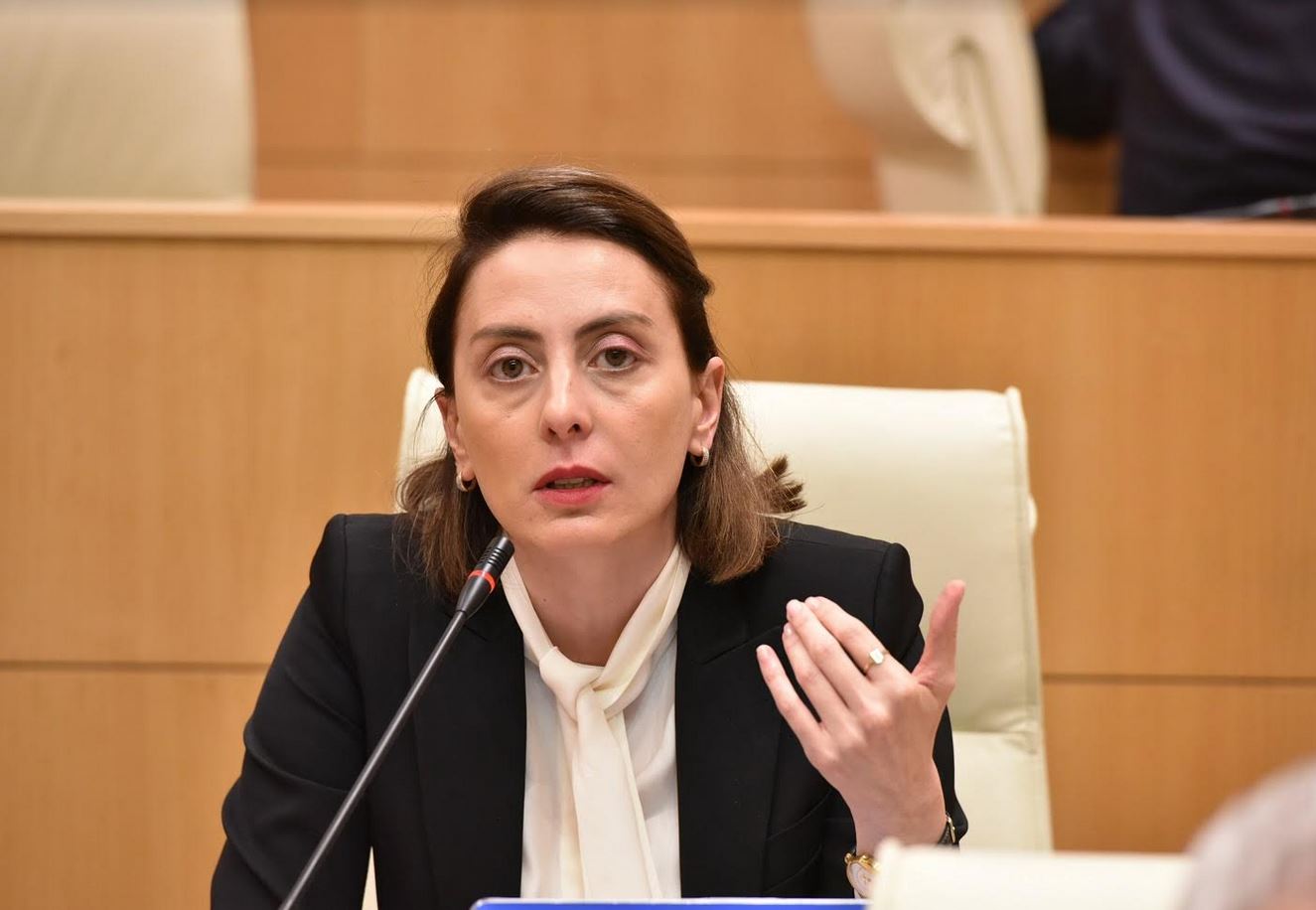 ოპოზიციის მოთხოვნა