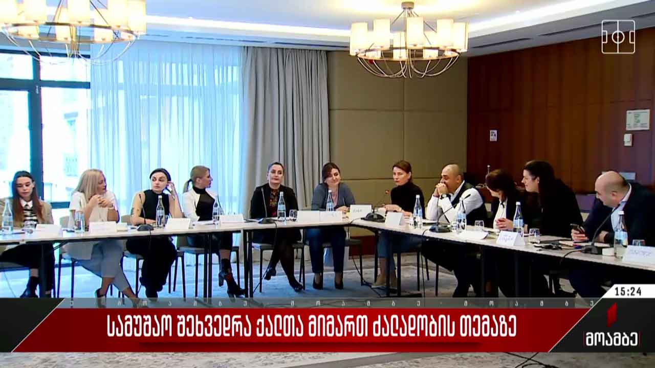 სამუშაო შეხვედრა ქალთა მიმართ ძალადობის თემაზე