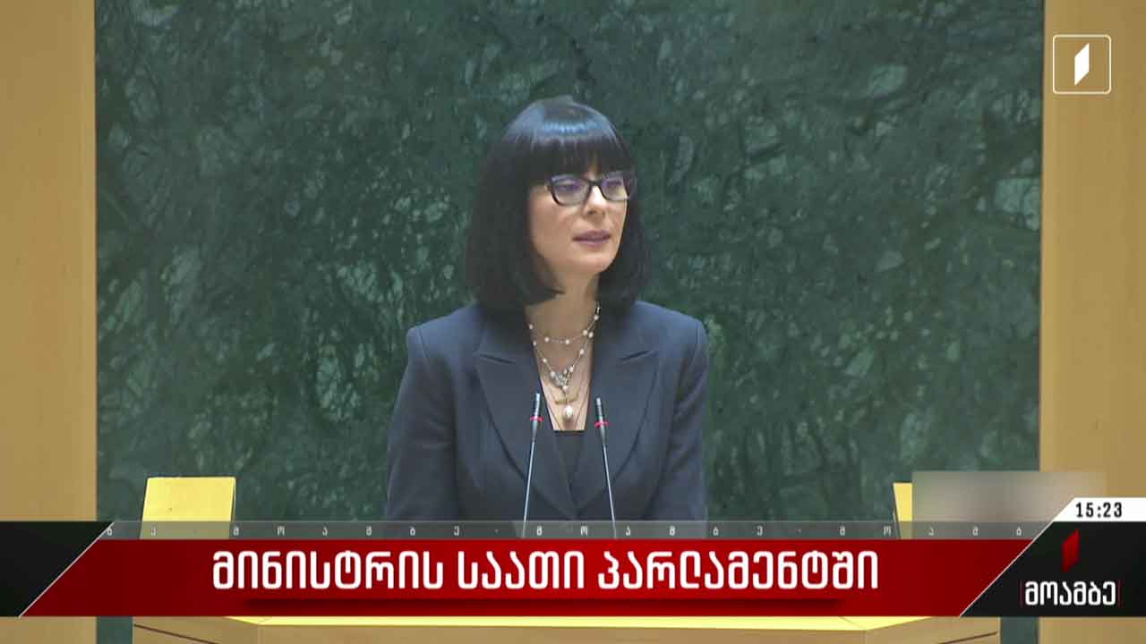 პარლამენტში თეა ახვლედიანს უსმენენ