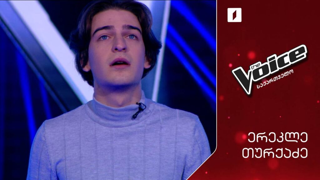 #ვოისი ერეკლე თურქაძე | Erekle Turkadze – Virtual insanity