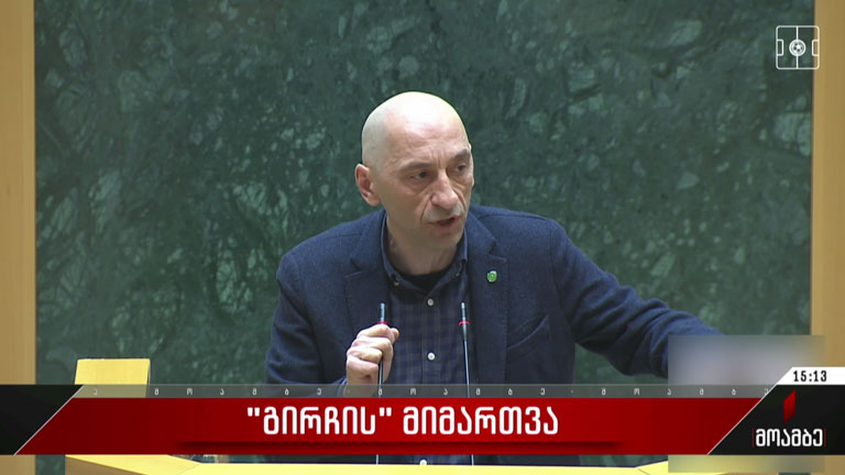„გირჩის“ მიმართვა პარლამენტში