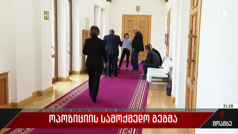 ოპოზიციის სამოქმედო გეგმა