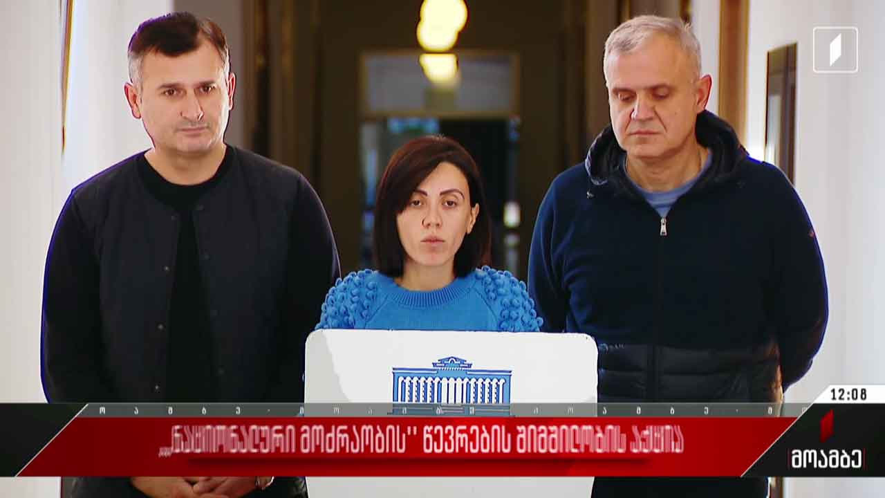 „ნაციონალური მოძრაობის“ წევრების შიმშილობის აქცია