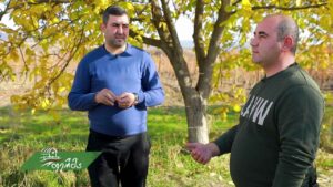 ფერმა