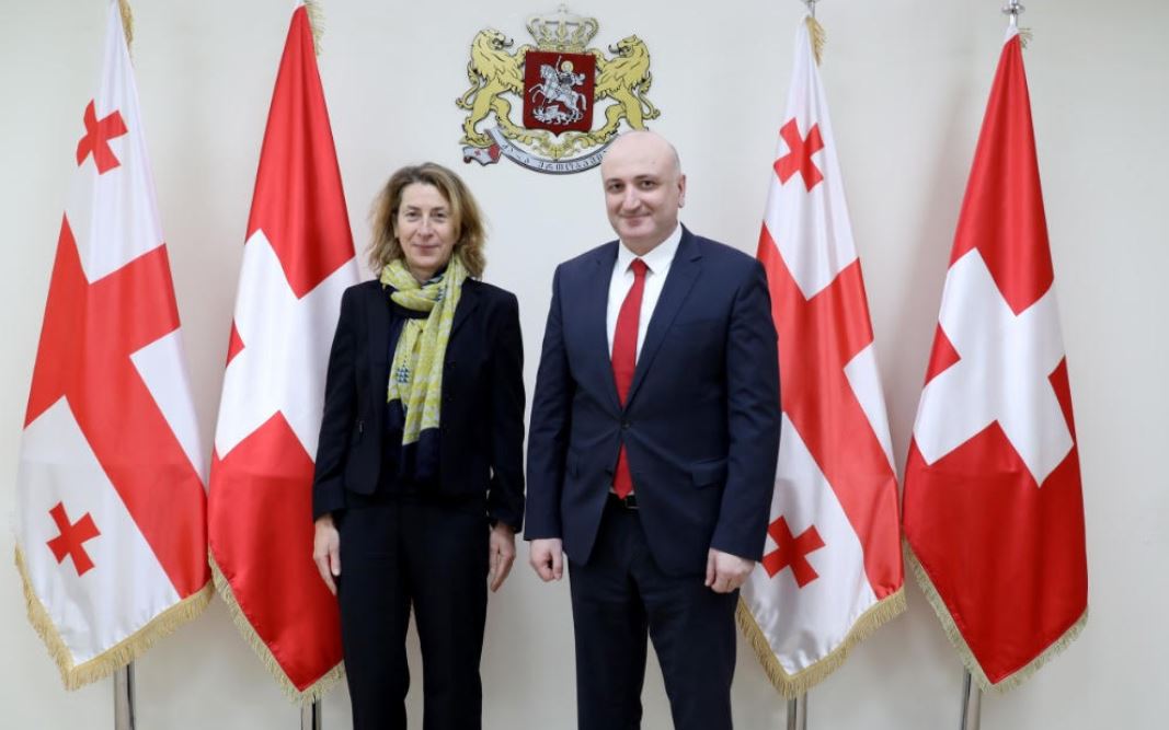 ზურაბ აზარაშვილი შვეიცარიის ელჩს შეხვდა