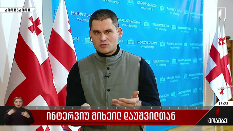 ინტერვიუ მიხეილ დაუშვილთან