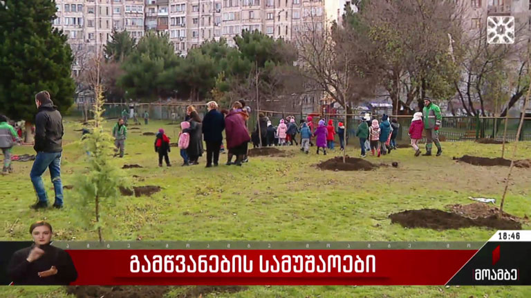 გამწვანების სამუშაოები