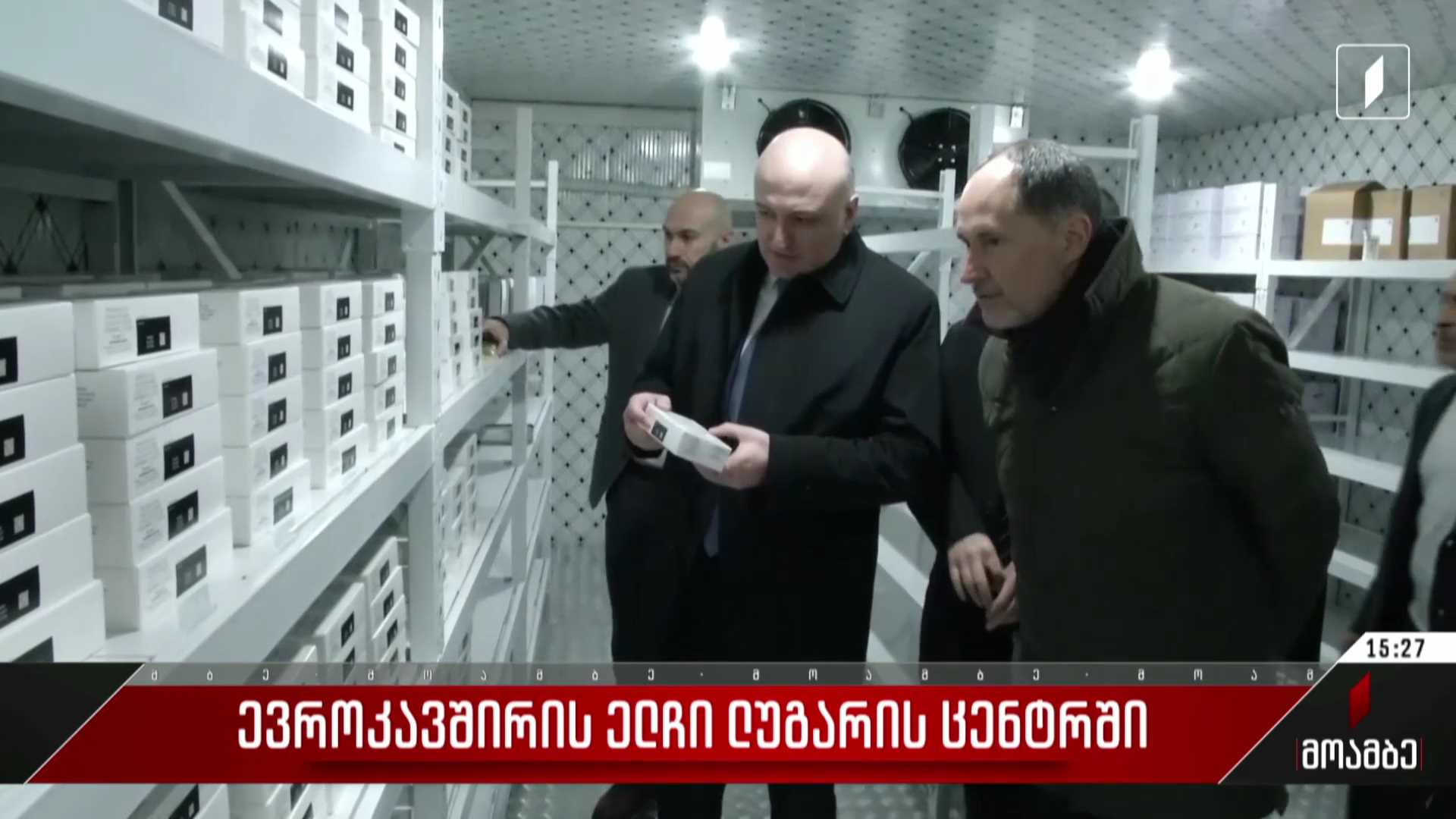 ევროკავშირის ელჩი ლუგარის ცენტრში