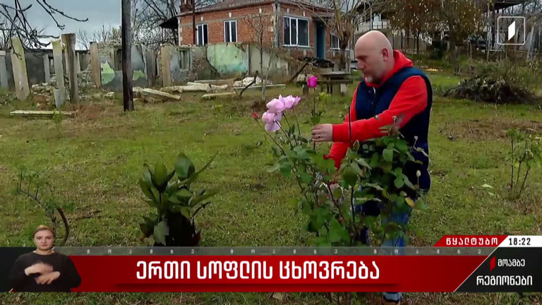 ერთი სოფლის ცხოვრება