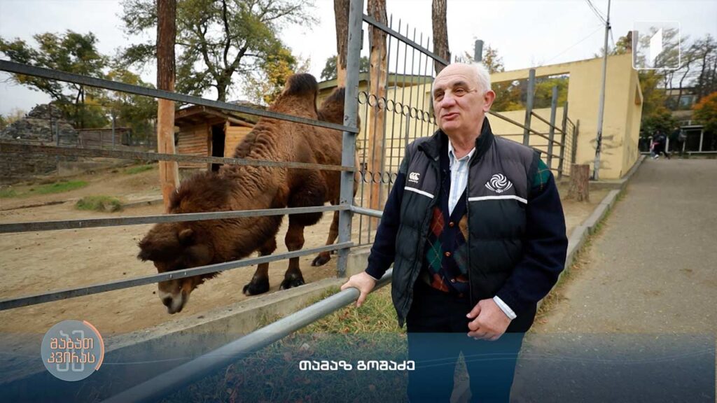 გაიცანით მელომანი და ვინილების კოლექციონერი თამაზ გოშაძე