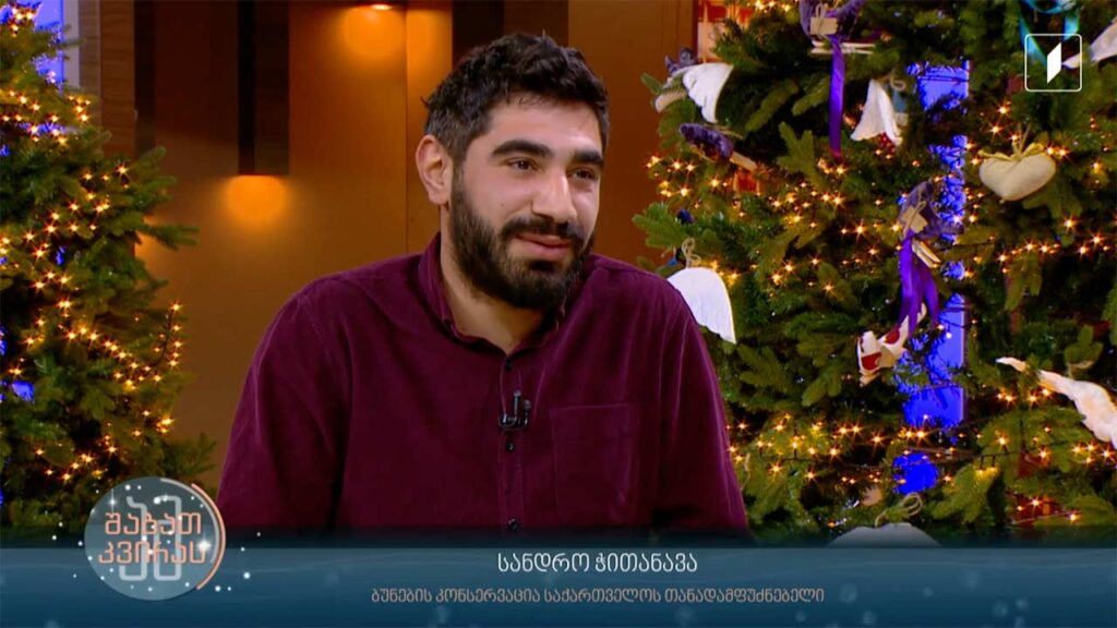 რატომ არ უნდა გამოვიყენოთ პიროტექნიკა – უარყოფითი გავლენა ეკოლოგიაზე, ფლორასა და ფაუნაზე