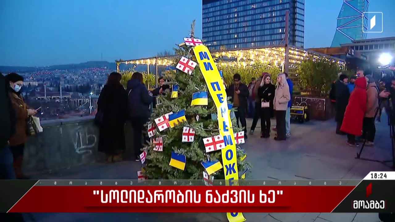 „სოლიდარობის ნაძვის ხე“