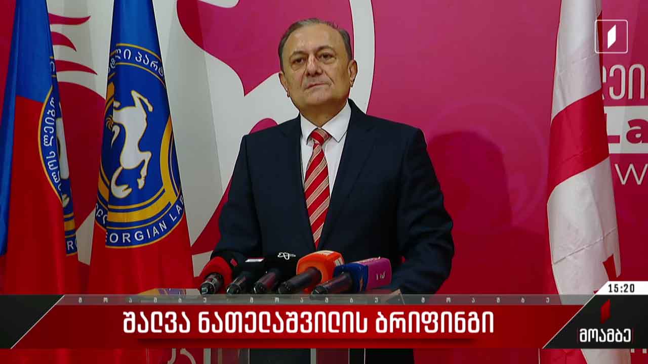 შალვა ნათელაშვილის ბრიფინგი