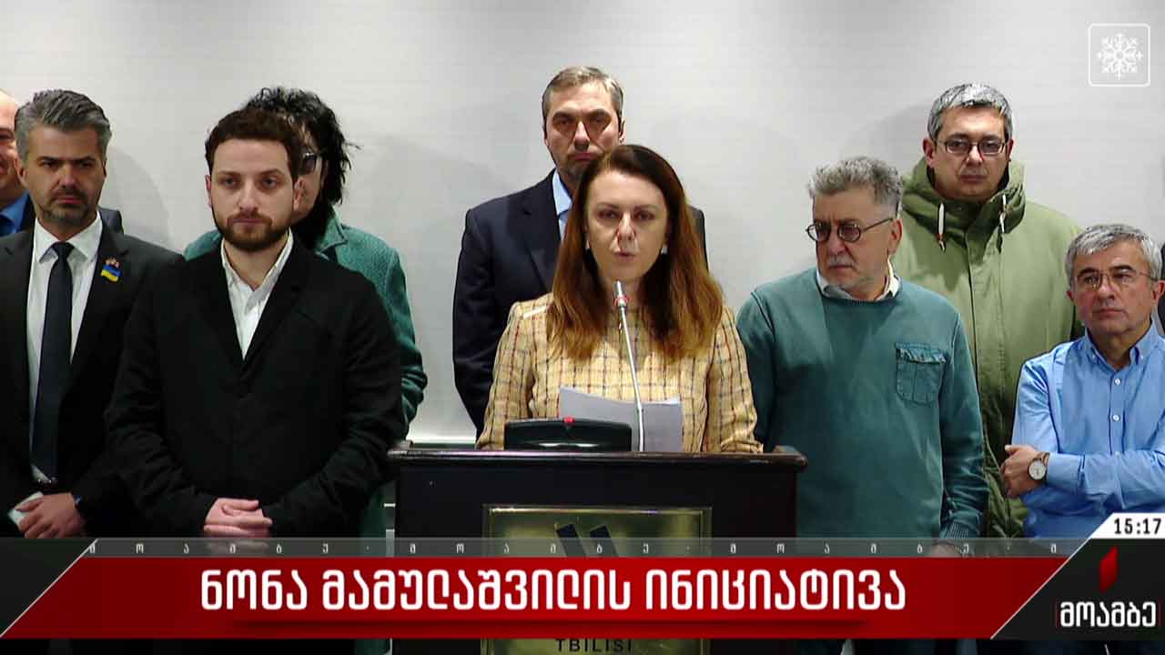 ნონა მამულაშვილის ინიციატივა