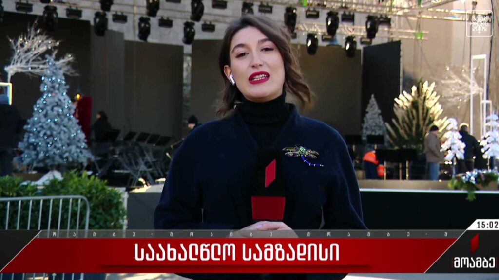  საახალწლო სამზადისი