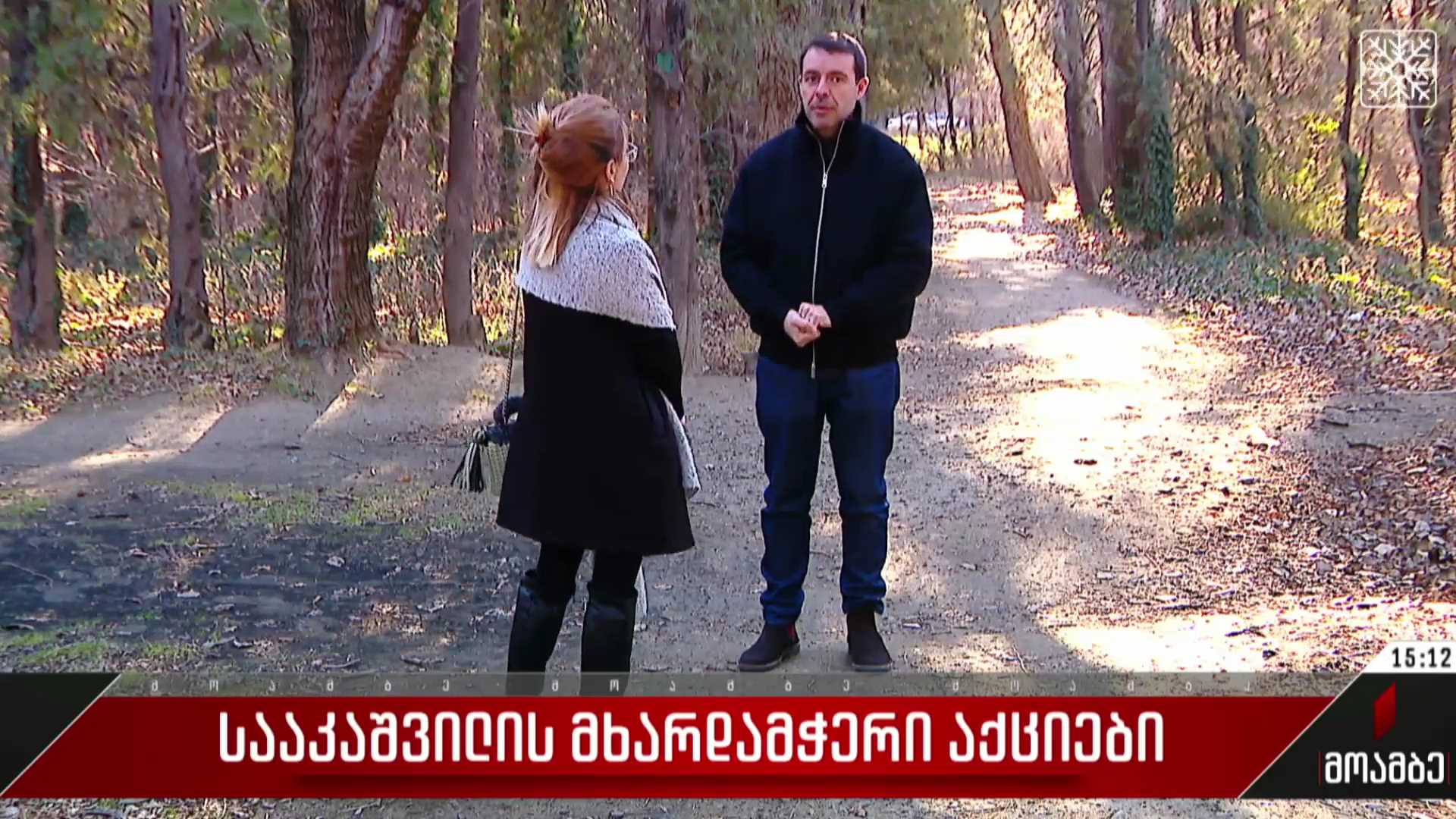 სააკაშვილის მხარდამჭერი აქციები