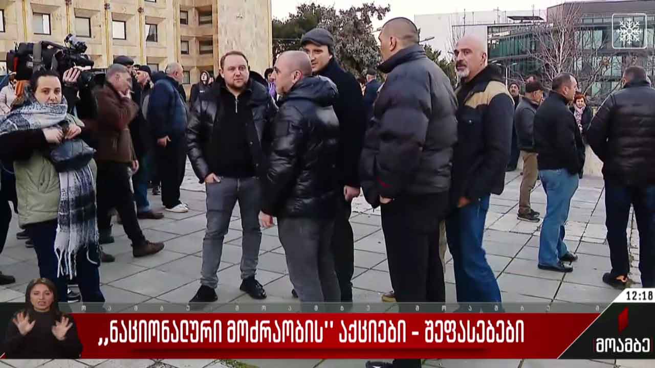 სააკაშვილის მხარდამჭერი აქციები - შეფასებები