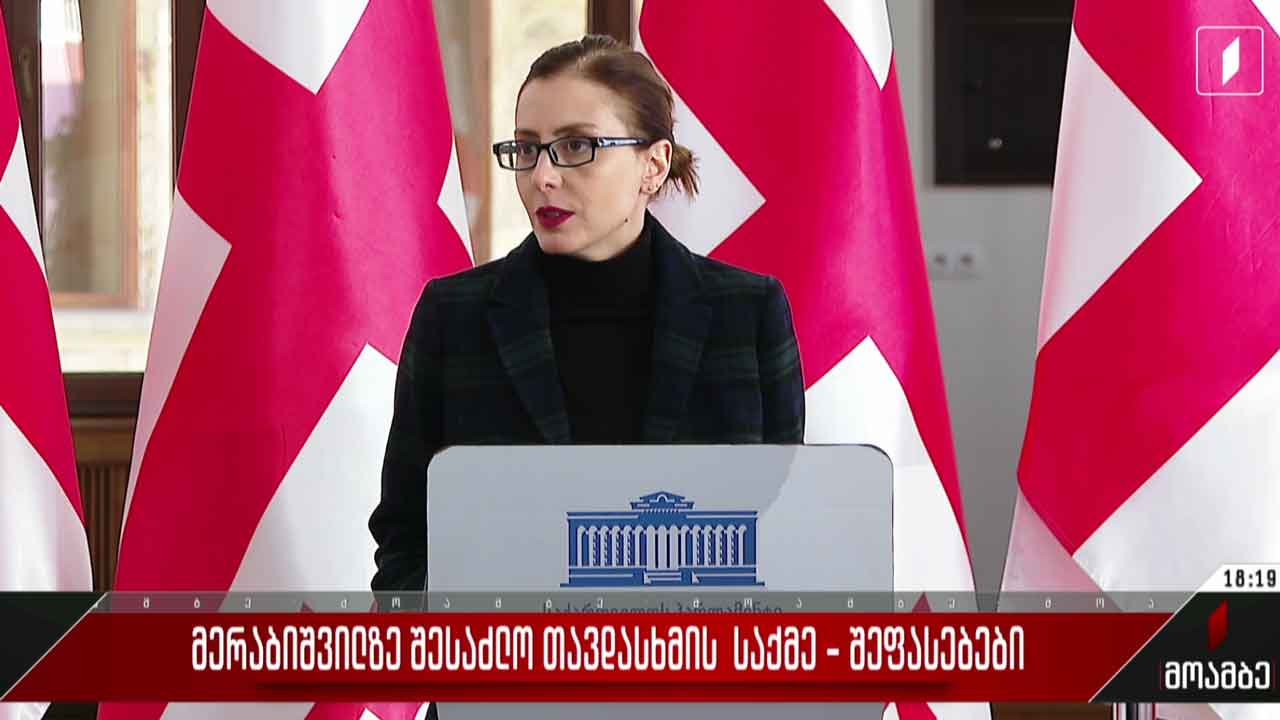 მერაბიშვილზე სავარაუდო თავდასხმის საქმე - შეფასებები